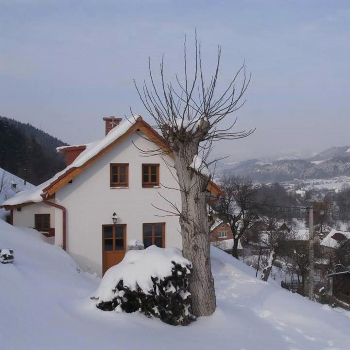 Frýdštejn Charming House With Beautiful Landscape 빌라 외부 사진