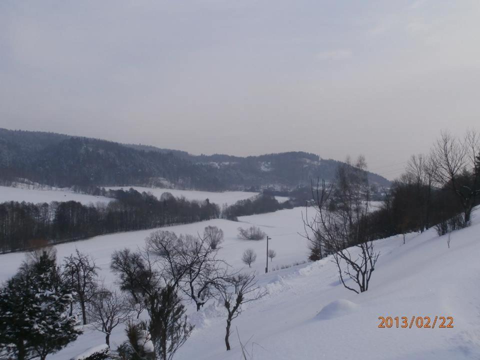 Frýdštejn Charming House With Beautiful Landscape 빌라 외부 사진